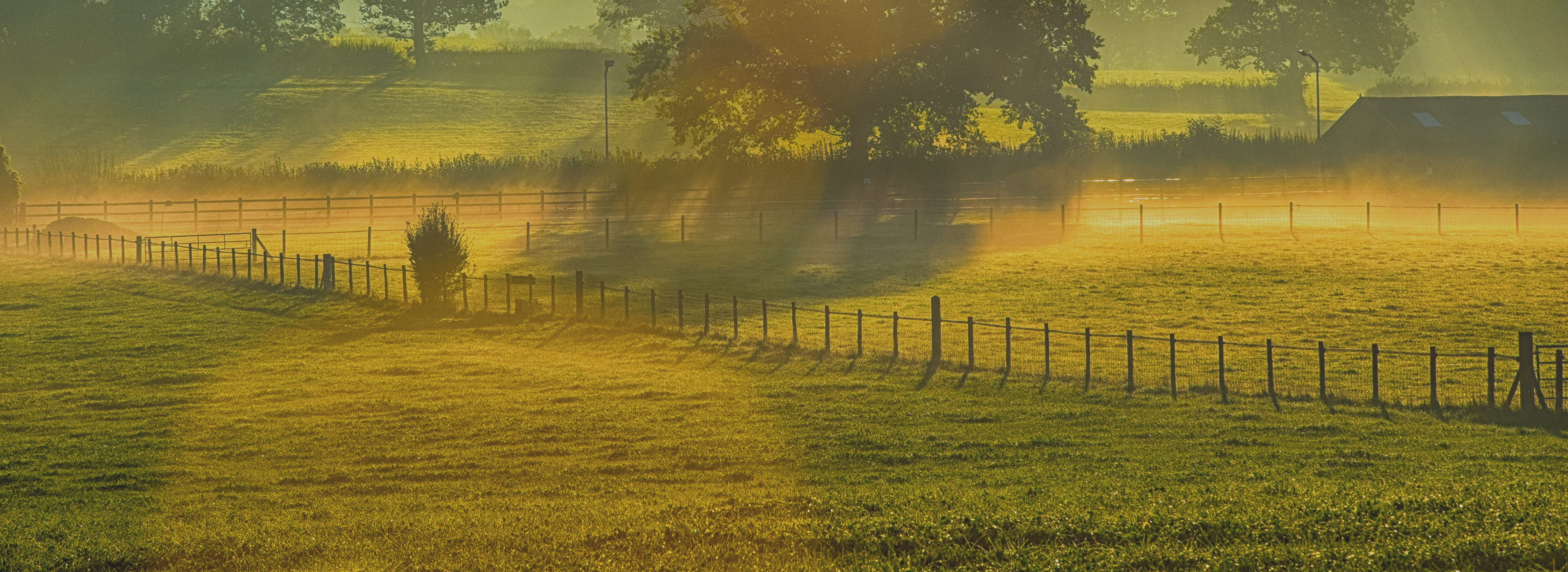 slider image 1621243260e1af0c20-0
